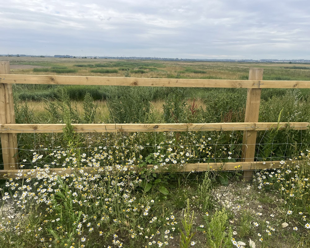 Agricultural Fencing Feature Image