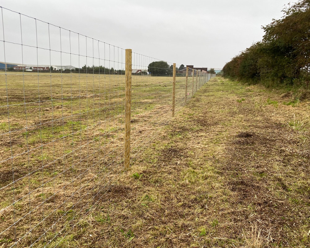 Energy Sector Feature Image